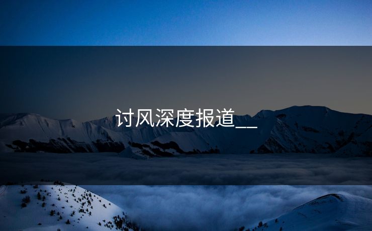 讨风深度报道__