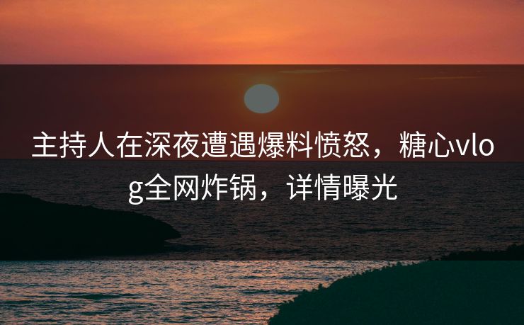 主持人在深夜遭遇爆料愤怒，糖心vlog全网炸锅，详情曝光