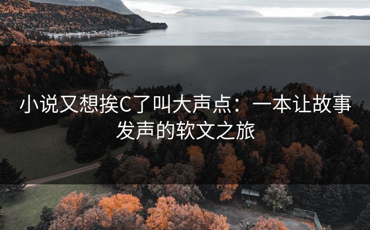 小说又想挨C了叫大声点：一本让故事发声的软文之旅