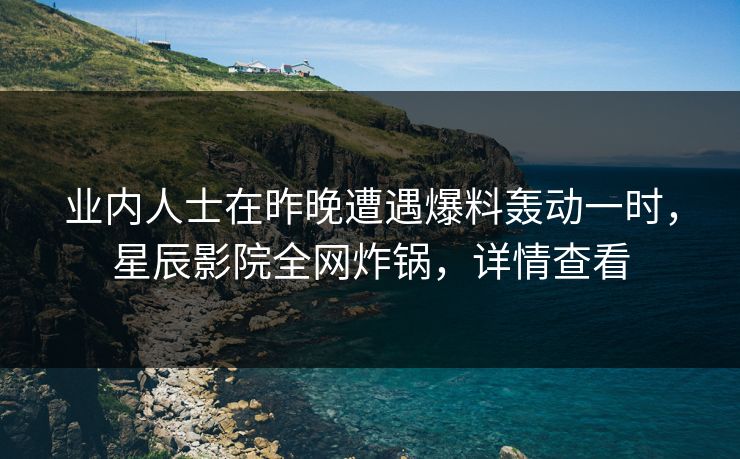 业内人士在昨晚遭遇爆料轰动一时，星辰影院全网炸锅，详情查看