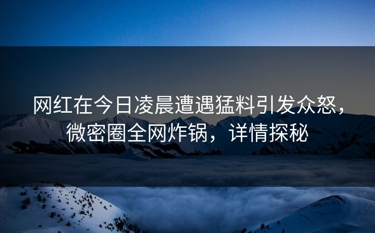 网红在今日凌晨遭遇猛料引发众怒,微密圈全网炸锅,详情探秘